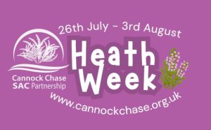 Capture 3 Aspect Ratio 725 450