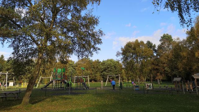 IMG 20241017 134929