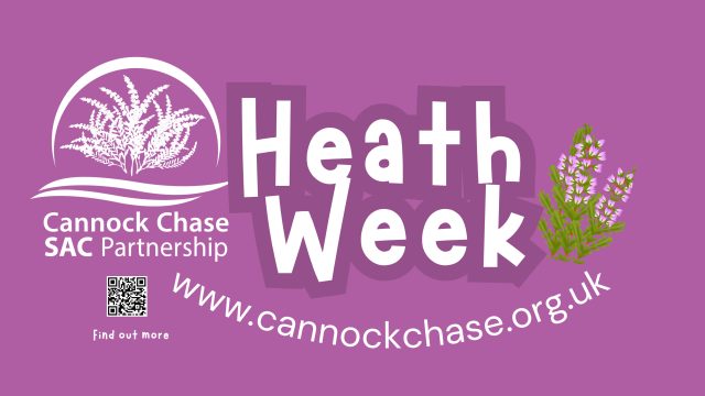 Heath Week No Date Scaled Aspect Ratio 640 360