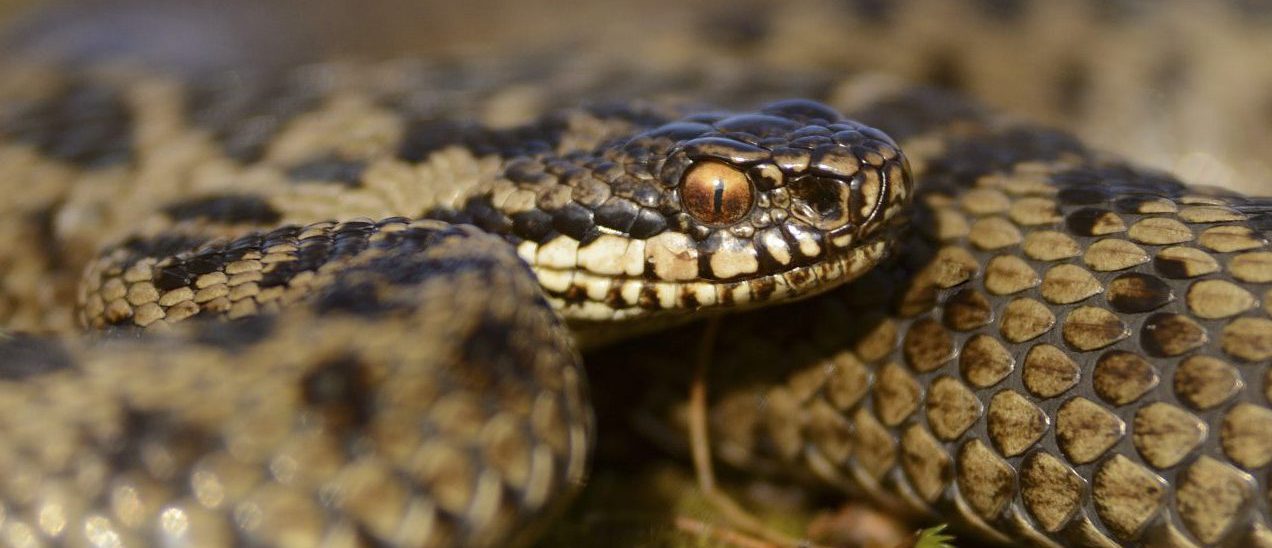 1072657 Aspect Ratio 300x300 Aspect Ratio 1160 500