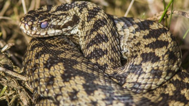 Banner Adders E1761058592674 Aspect Ratio 725 450