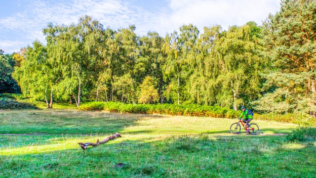 Cyclist following a bridleway across a grassy area