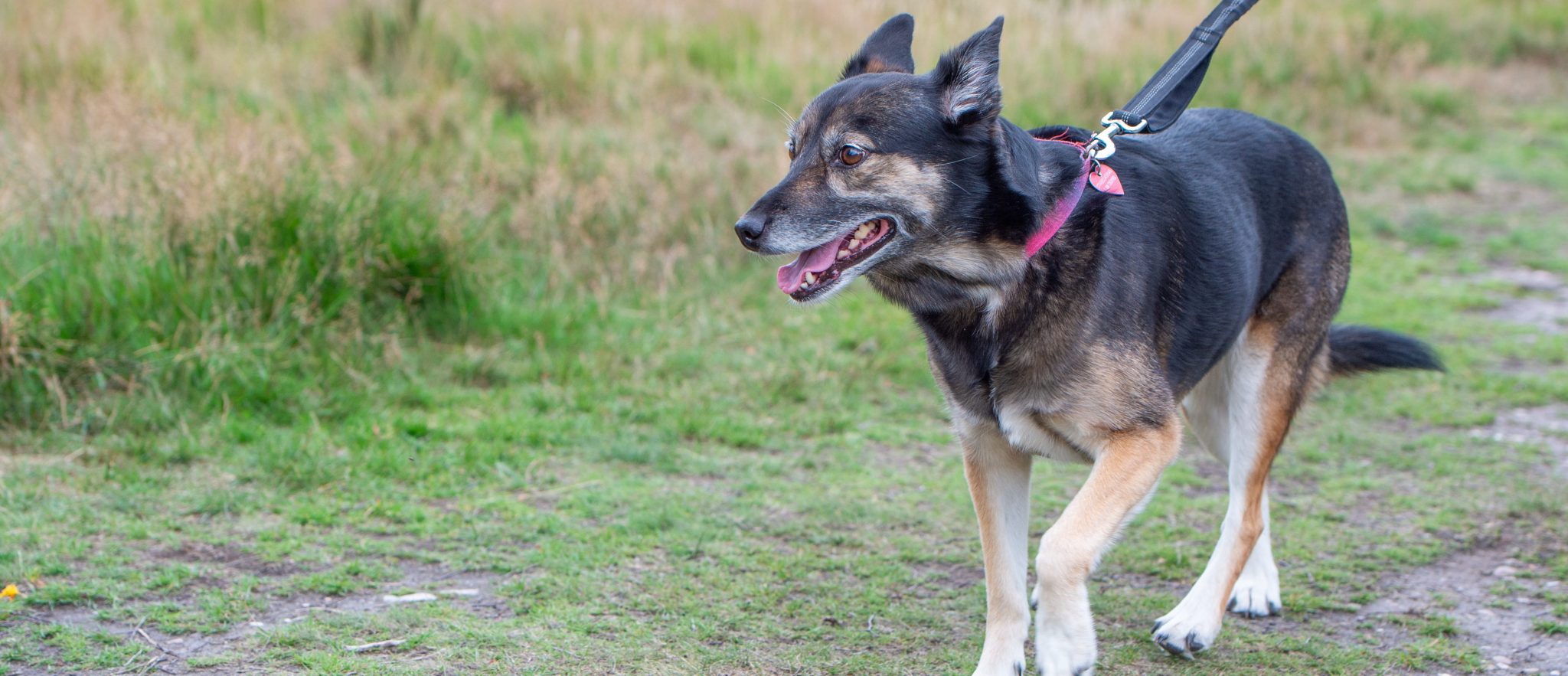 DSC 3273 Scaled Aspect Ratio 1160 500