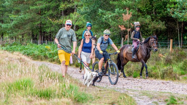 Horse riders walkers and cyclists sharing the trail