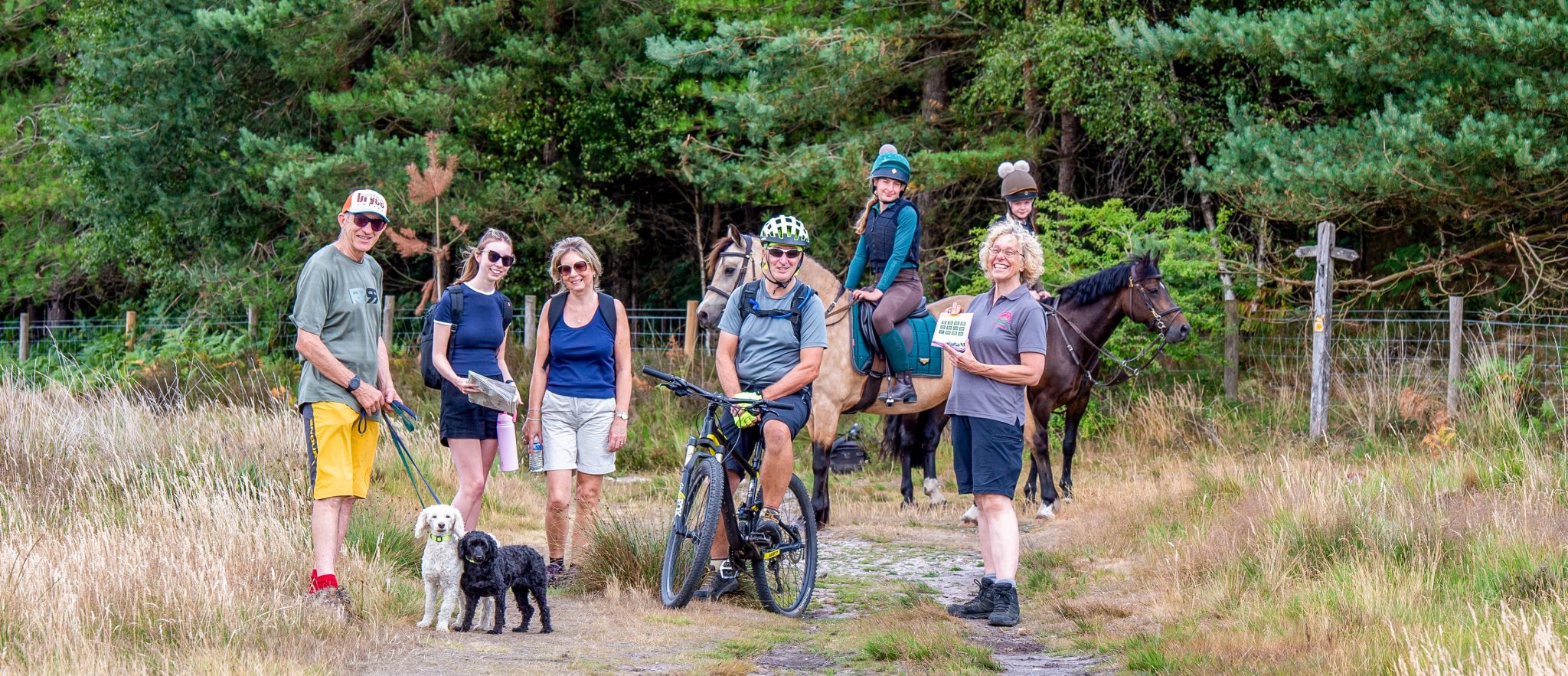 DSC 3758 Scaled Aspect Ratio 1160 500