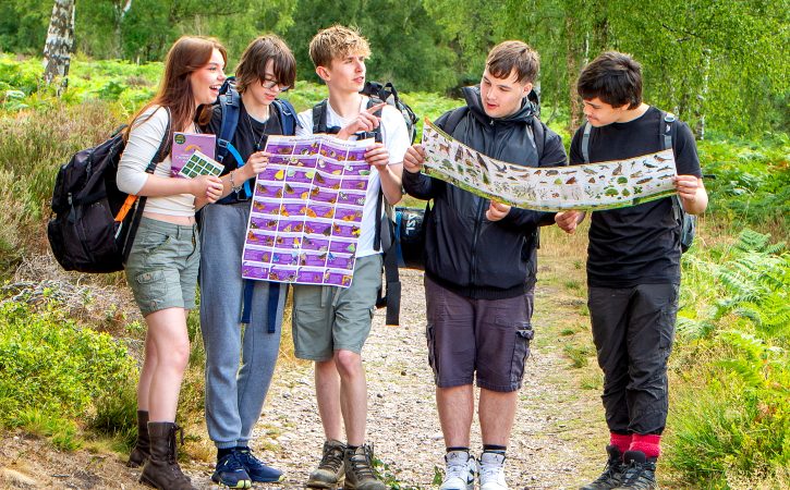 DSC 7836 Scaled Aspect Ratio 725 450