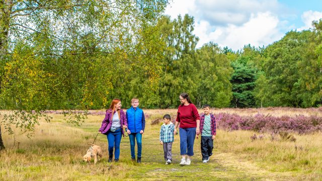 Family walking on Brindley Heath