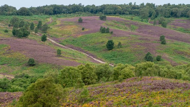 Landscape 3 Scaled Aspect Ratio 2000 540