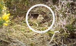 Screenshot 2025 10 29 132447