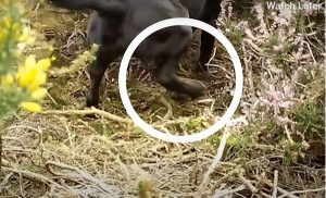 Screenshot 2025 10 29 132533