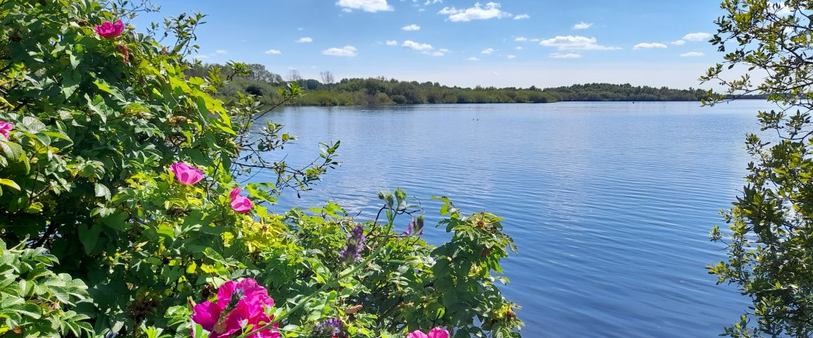 20220801 112041 Scaled Aspect Ratio 1152 480