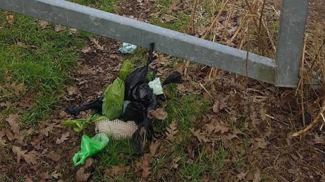 Bad Example Of Litter For Booklet Game