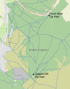 Map of Brocton Coppice showing the bridleway routes