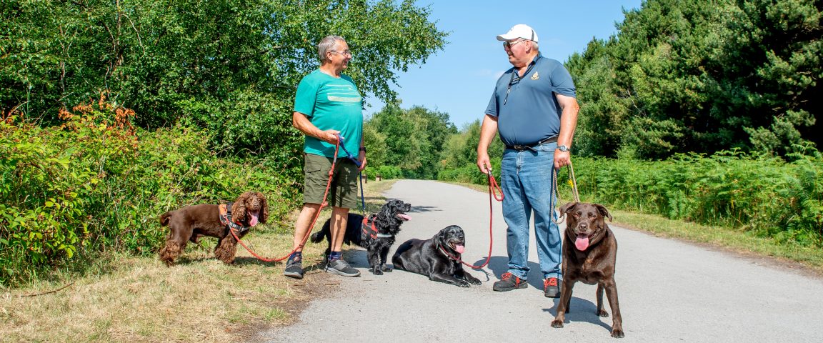 DSC 0665 Scaled Aspect Ratio 1152 480