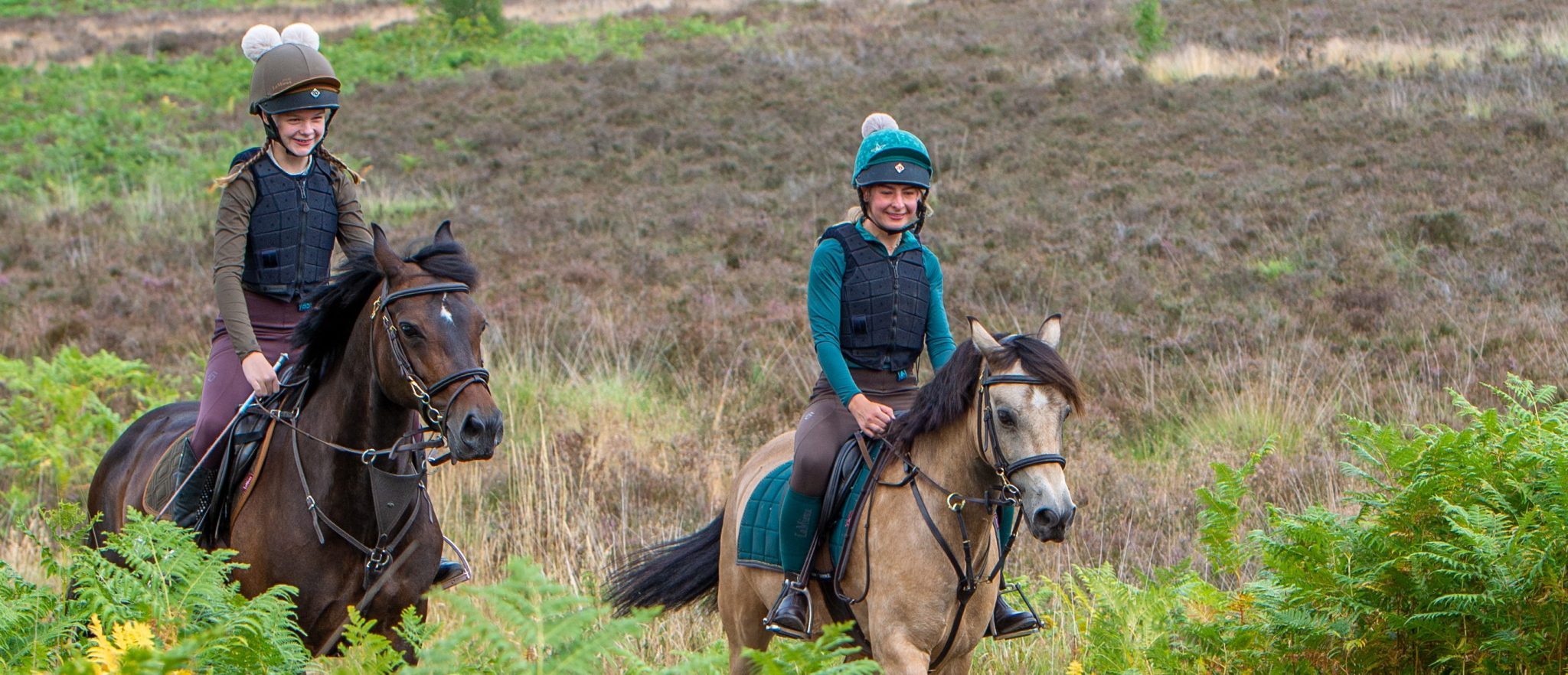 DSC 2990 Scaled Aspect Ratio 1160 500