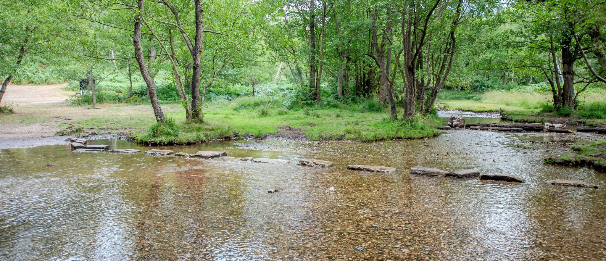 DSC 5135 Recovered Scaled Aspect Ratio 1160 500