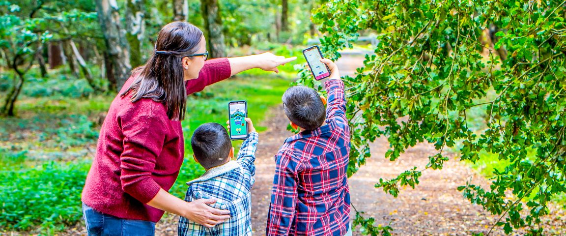 DSC 9055 Scaled Aspect Ratio 1152 480