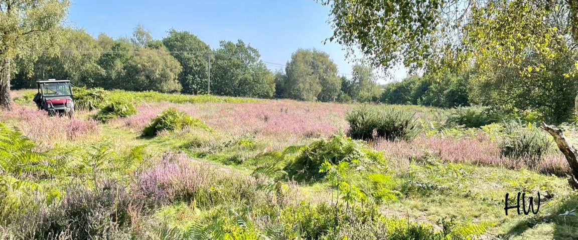 IMG 20240808 WA0031 Aspect Ratio 1152 480