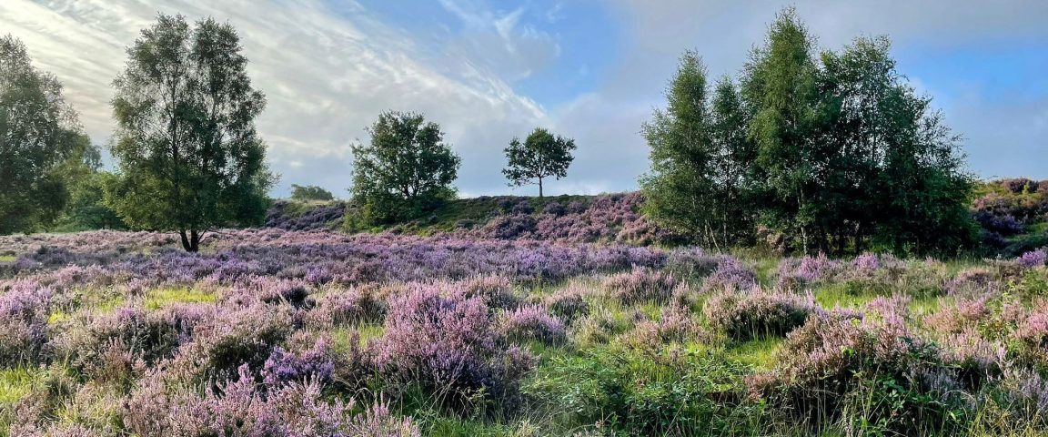 IMG 20240808 WA0034 Aspect Ratio 1152 480