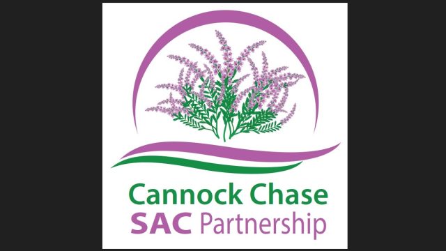 Screenshot 2025 11 20 154242