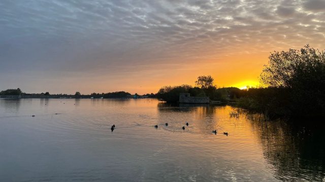 IMG 20240808 WA0029 Aspect Ratio 640 360