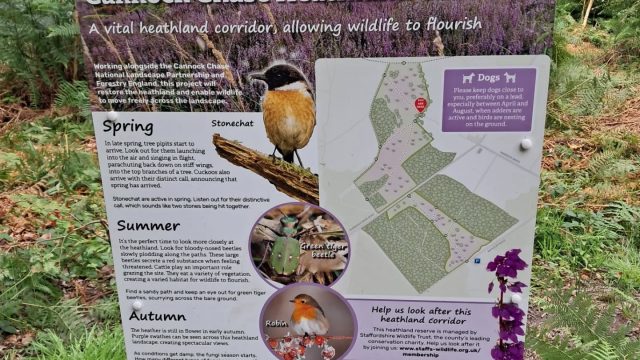 Staffordshire Wildlife Corridoor SWT 2025