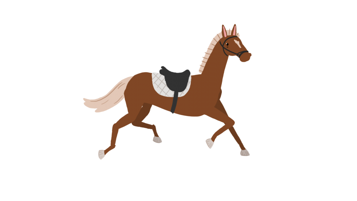 to Cannock Chase Cannock Chase