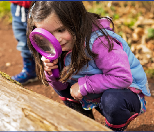 Become a Nature Ranger at the Wolsey Centre. - Cannock Chase